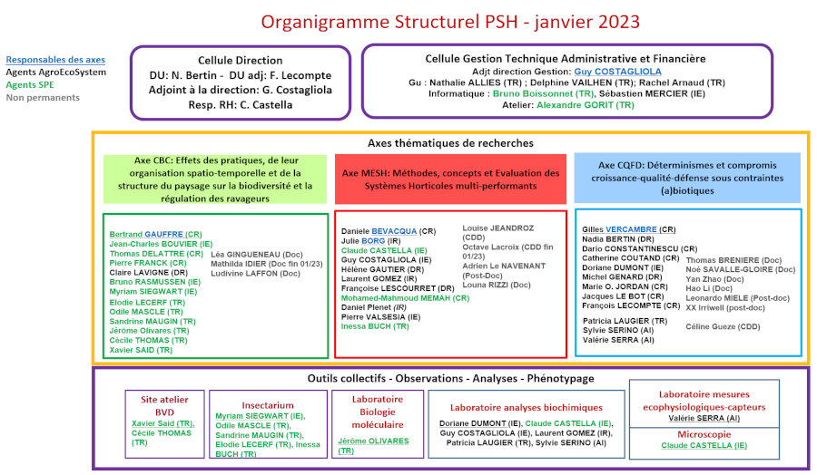 organigramme-janvier-2023-version-pour-site-internetPSH